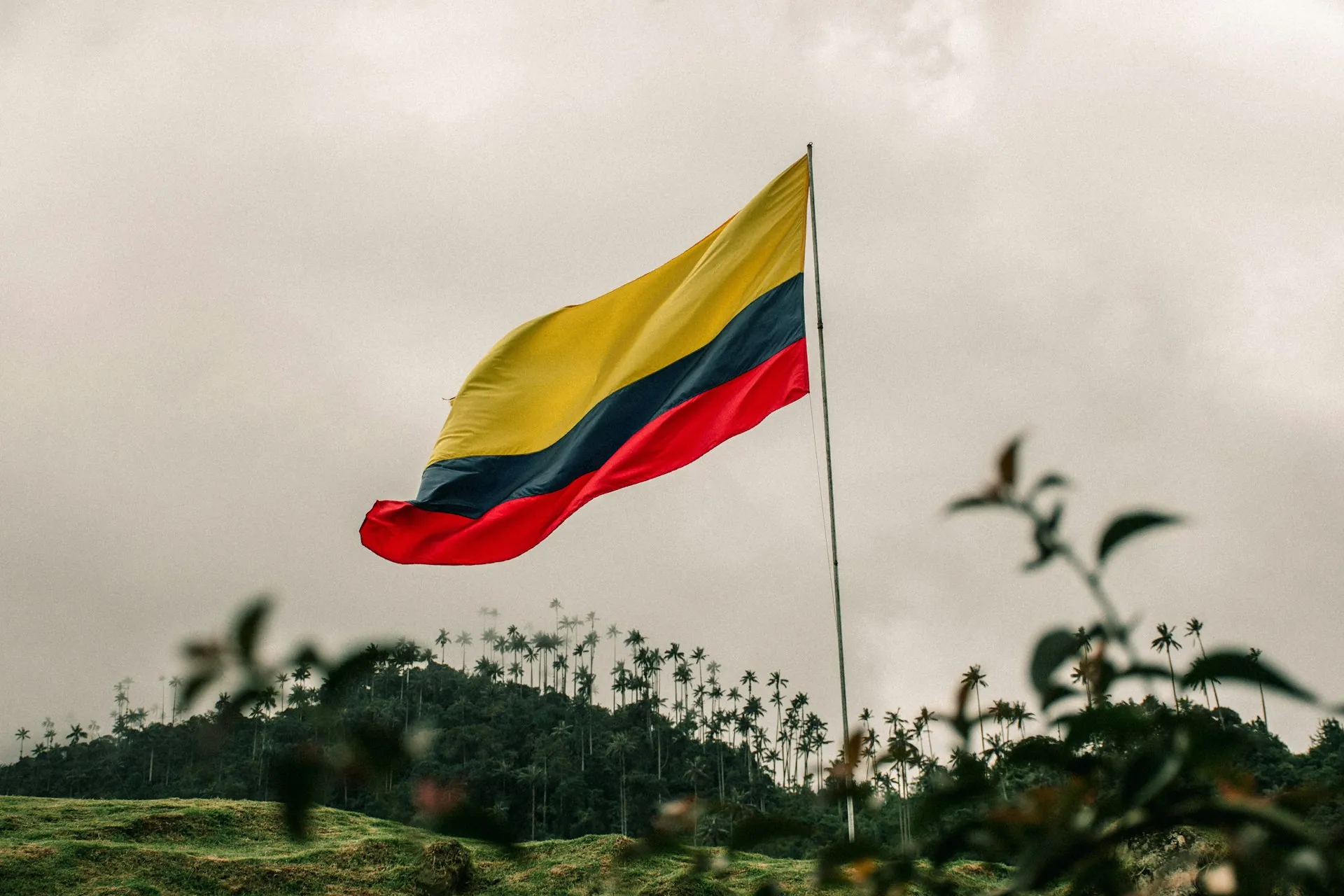 Bandera de Colombia en el Valle del Cocora, Salento