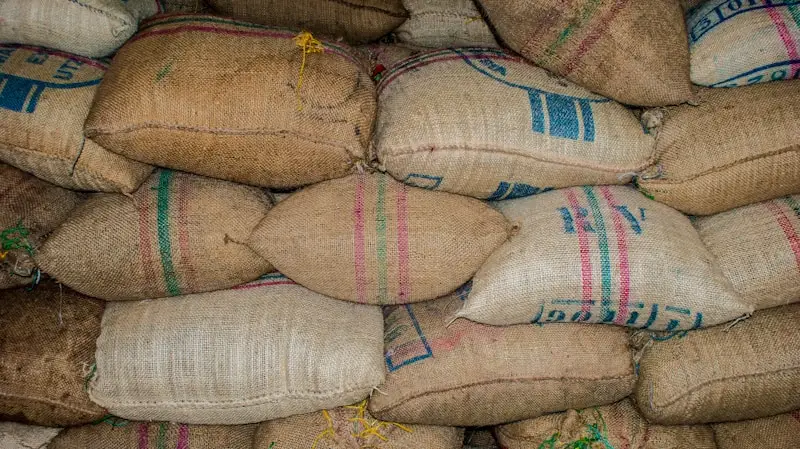 Sacchi di caffè colombiano pronti per l'esportazione