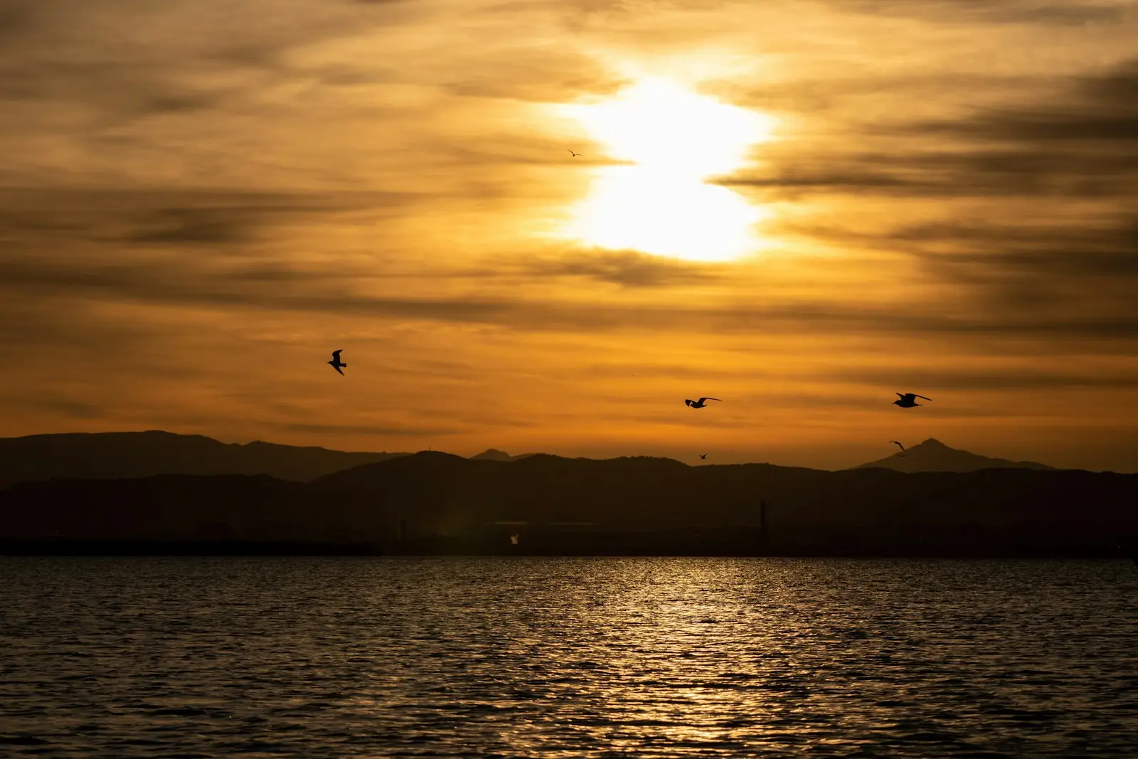 Sonnenuntergang über der Albufera von Valencia: Möwen über dem See, auf dem die Paella ihren Ursprung hat