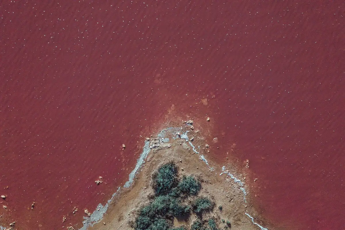 Vista aerea delle saline rosa di Torrevieja