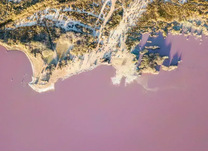 Torrevieja