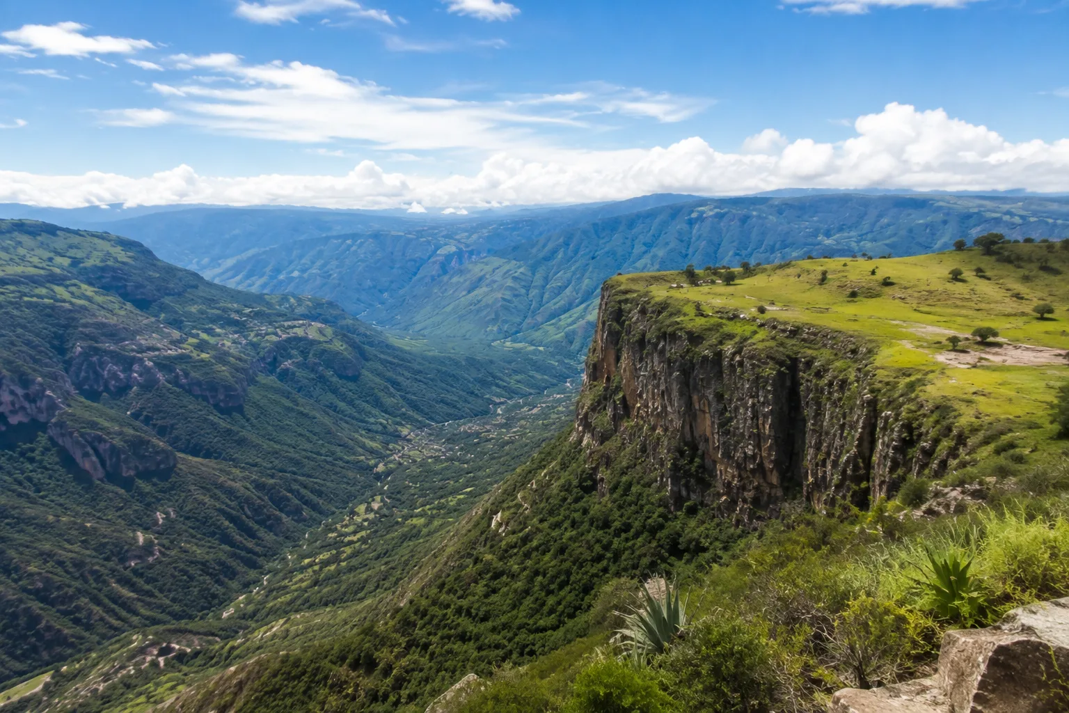 Paisaje cafetero en la Mesa de los Santos con niebla y vistas al Cañón del Chicamocha